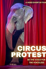 Primary photo for Ringling Brothers Circus Protest