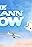 The Pam Ann Show