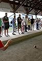 The World Series of Bocce: A Celebration of Sport, Family and Community's primary photo