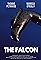 The Falcon's primary photo