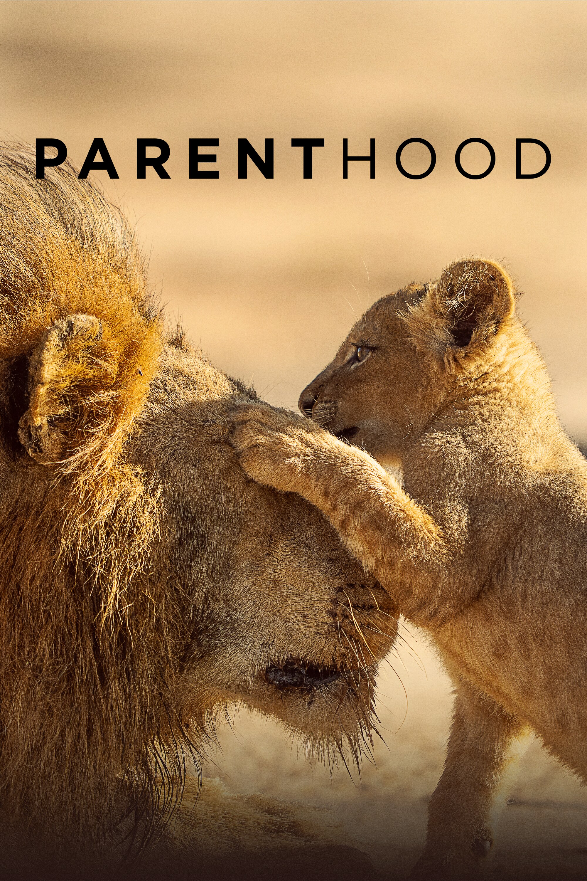 Poster of Parenthood