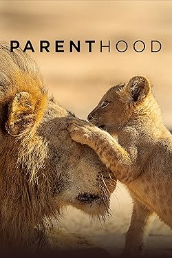 Poster of Parenthood