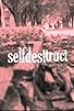 Primary photo for Selfdestruct