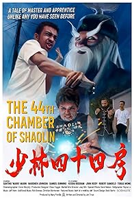 Primary photo for The 44th Chamber of Shaolin