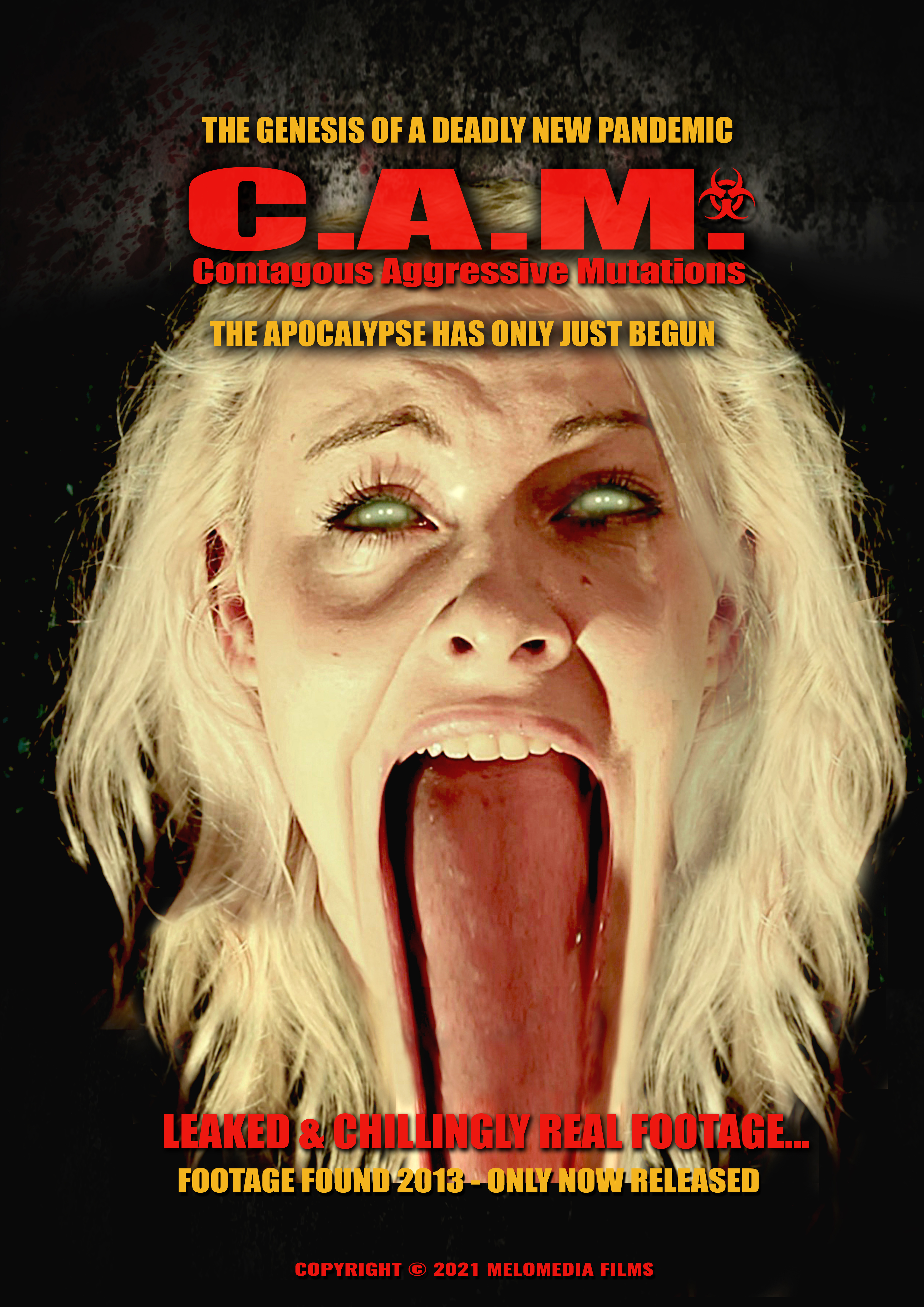 Poster of C.A.M.