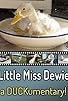 Primary photo for Little Miss Dewie: A Duckumentary Primary photo for Little Miss Dewie: A Duckumentary