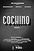Primary photo for Cochino