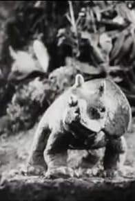 Primary photo for Creation