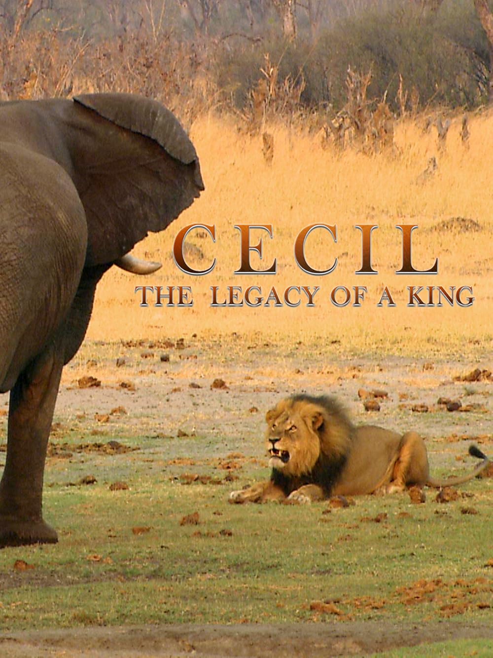 Cecil  The Legacy of a King