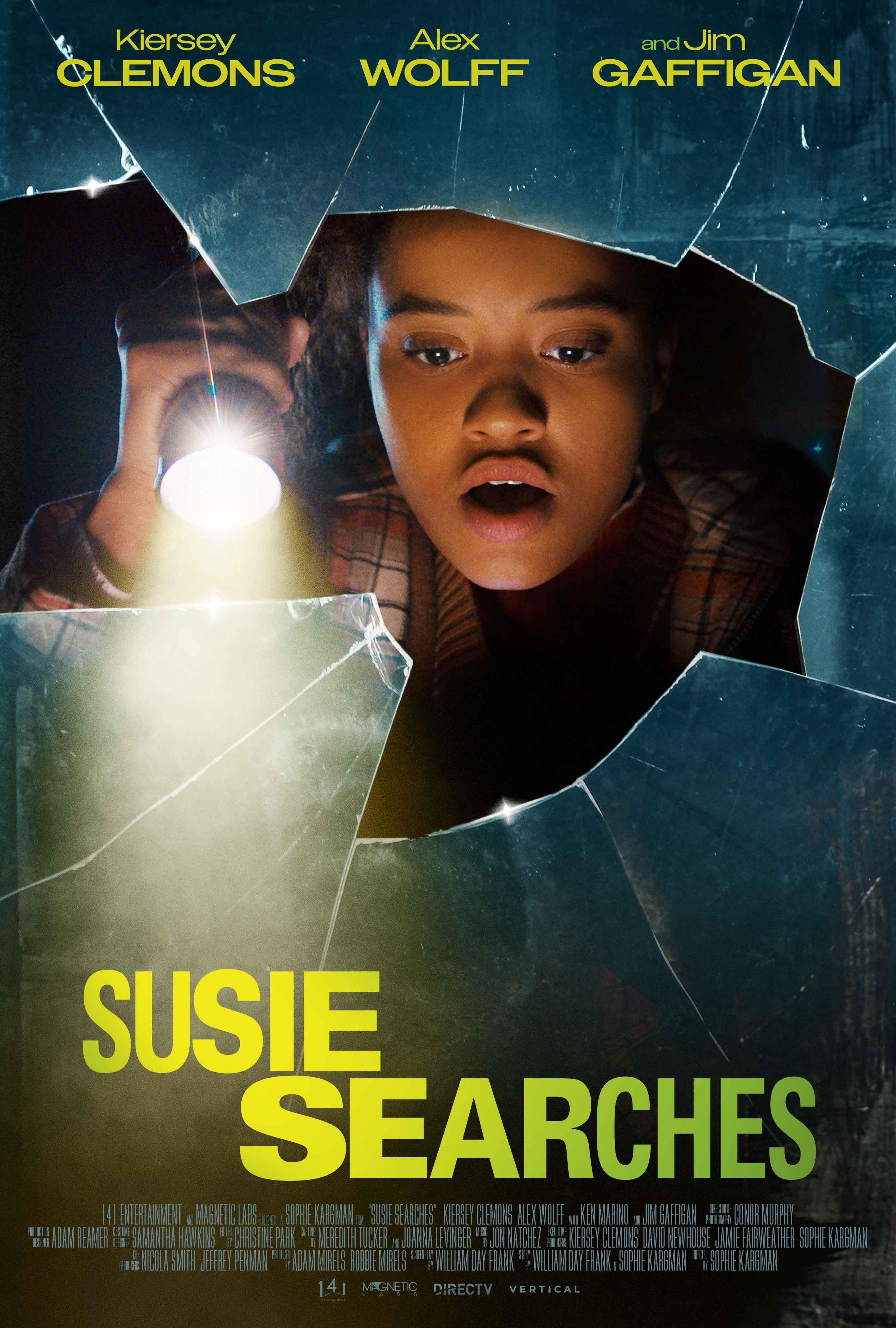 Poster of Susie Searches