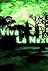 Primary photo for Mexico Deer