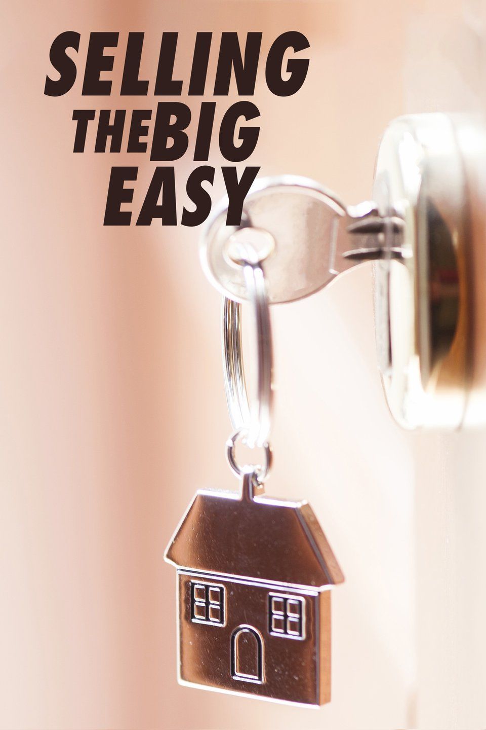 Poster of Selling The Big Easy