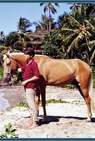 Primary photo for Cristobalito, the Calypso Colt