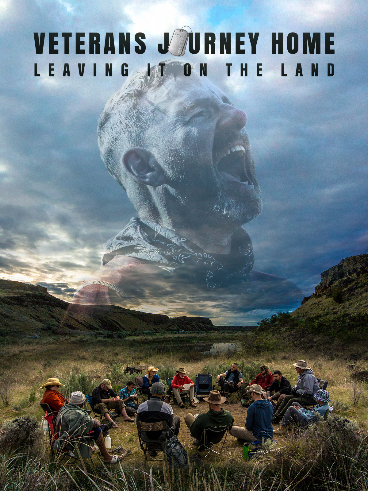 Poster of Veterans Journey Home