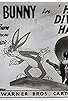 Primary photo for High Diving Hare Primary photo for High Diving Hare