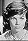 The Fellow Traveller's primary photo