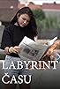 Primary photo for Labyrint casu Primary photo for Labyrint casu