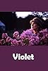 Primary photo for Violet