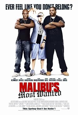 Poster of Malibus Most Wanted
