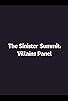 Primary photo for The Sinister Summit - Villains Panel Primary photo for The Sinister Summit - Villains Panel