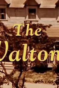 Primary photo for The Wing-Walker Primary photo for The Wing-Walker