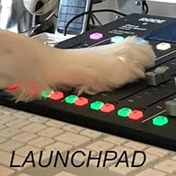 Primary photo for Playtime By Fawns