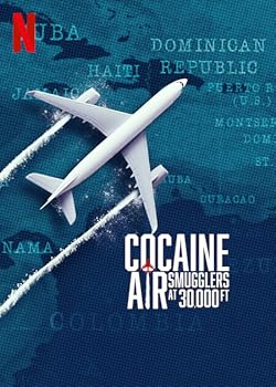 Poster of Y A -t-il Un Dealer Dans L'avion