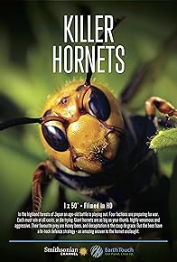 Primary photo for Killer Hornets