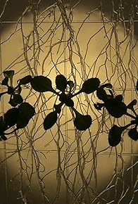 Primary photo for Arabidopsis thaliana