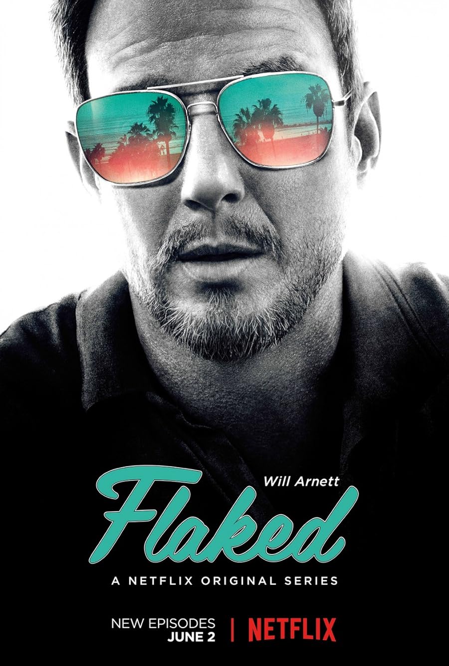 Flaked Poster