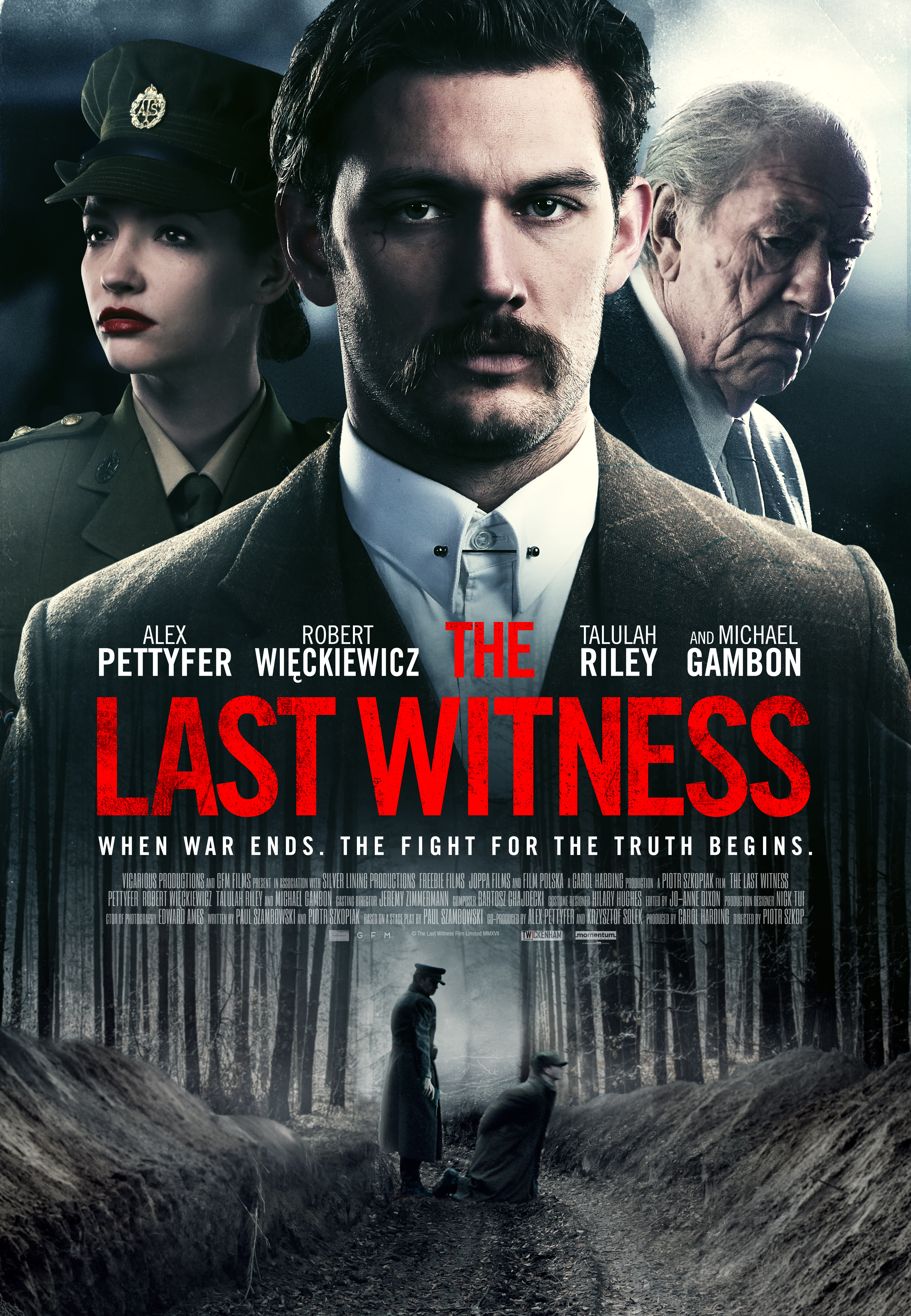 Poster of The Last Witness