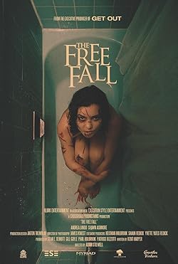 Poster of The Free Fall