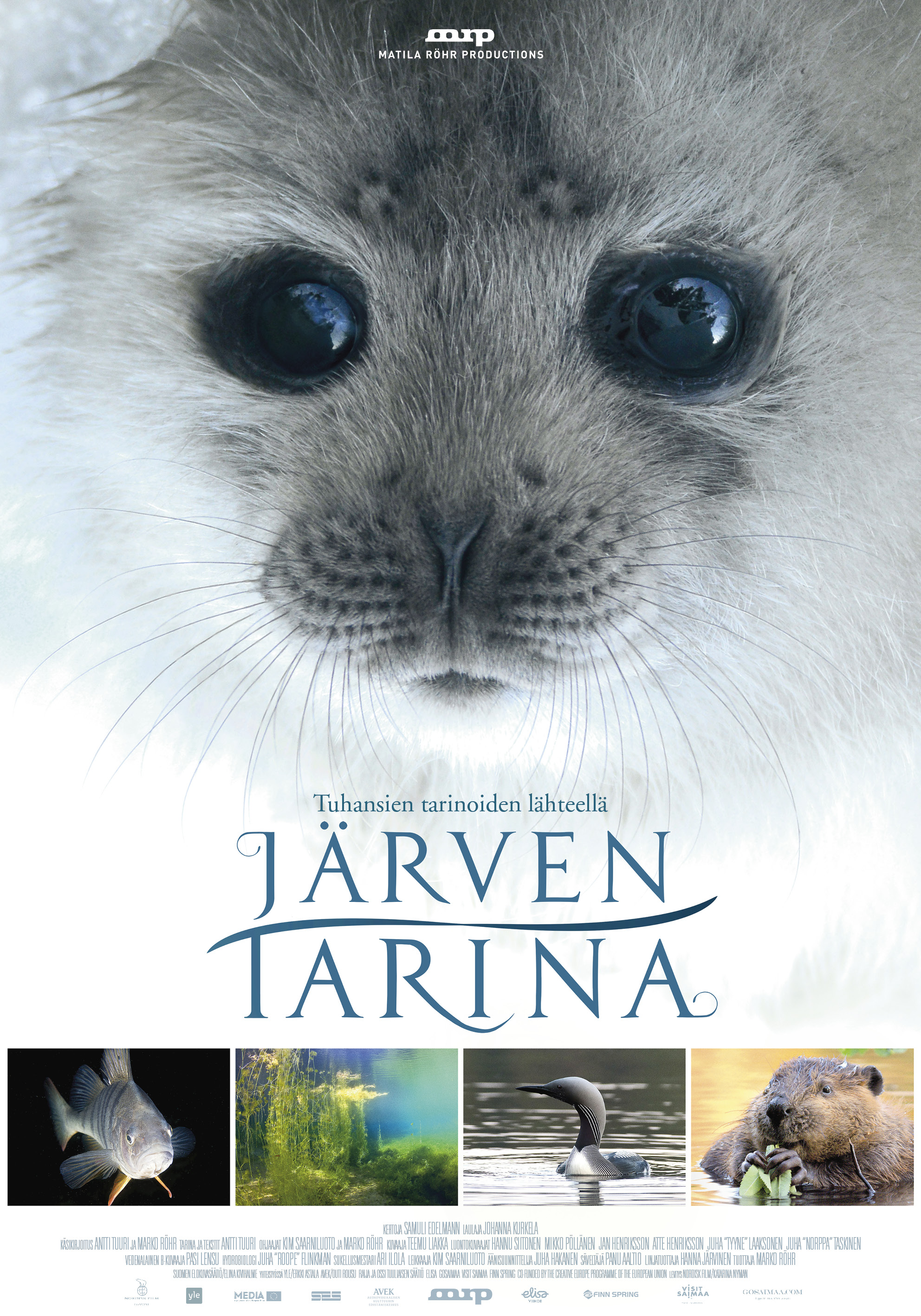 Poster of Järven tarina