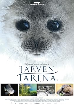Poster of Järven tarina