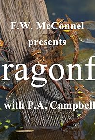 Primary photo for Dragonfly