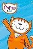 Primary photo for Poppy Cat Primary photo for Poppy Cat