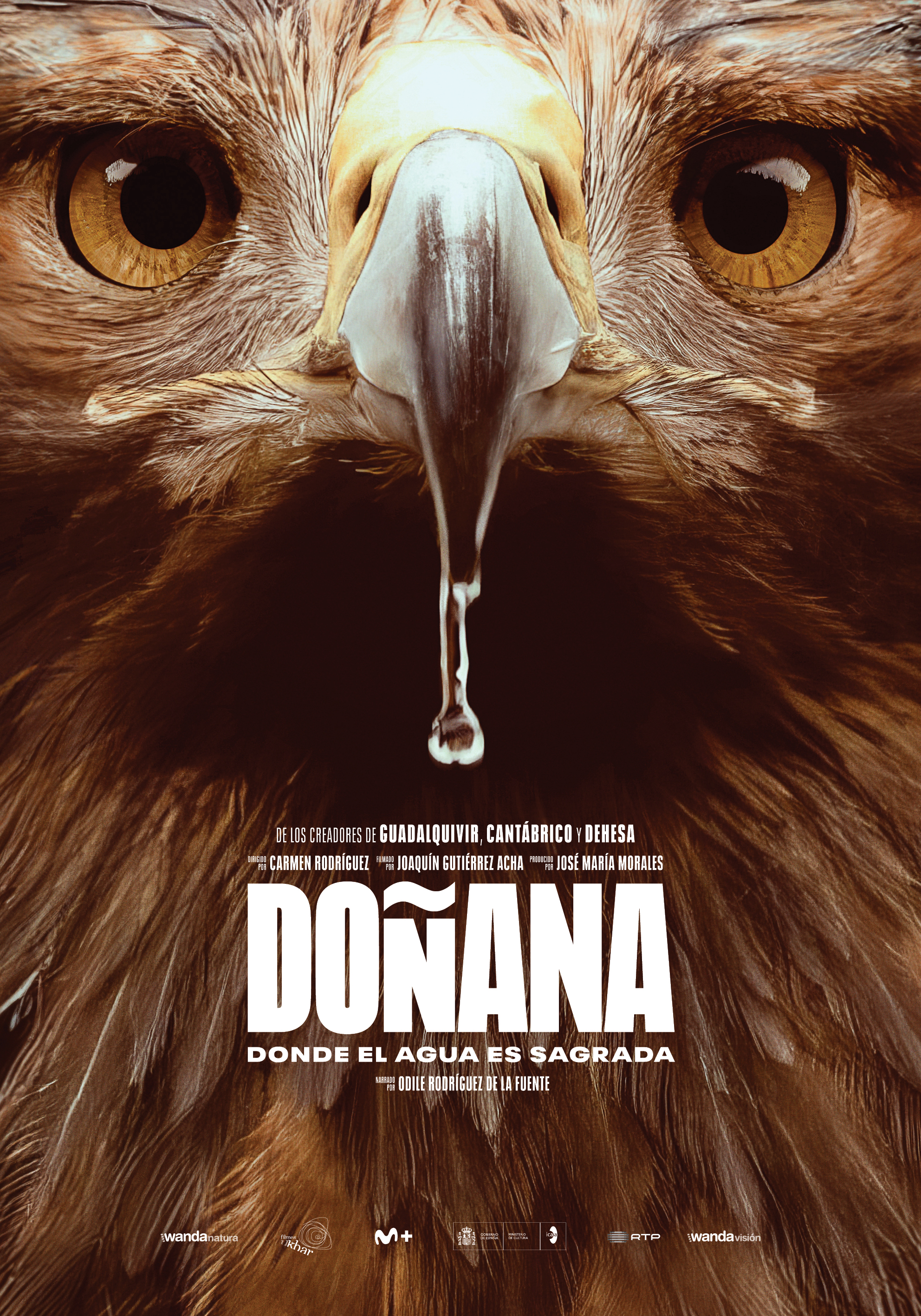 Doñana: Donde el agua es sagrada