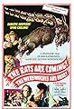 The Rats Are Coming! The Werewolves Are Here!'s primary photo