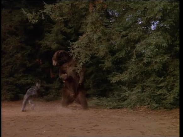 Little House On The Prairie No Beast So Fierce www.imdb.com