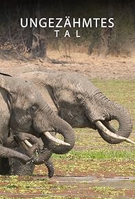 Primary photo for Hippo Lagoon