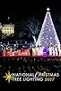 Primary photo for The National Christmas Tree Lighting Primary photo for The National Christmas Tree Lighting