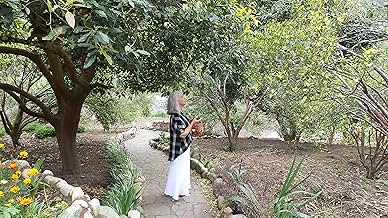 पोस्टर देखें