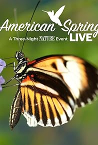 Primary photo for American Spring Live
