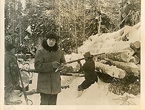 पोस्टर देखें