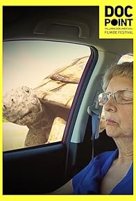 Primary photo for The Tortoise and the Hare