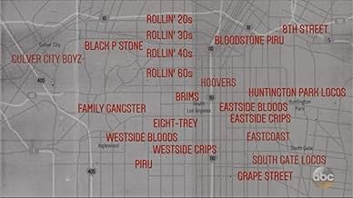 पोस्टर देखें