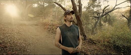 पोस्टर देखें