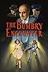 Primary photo for The Bumbry Encounter