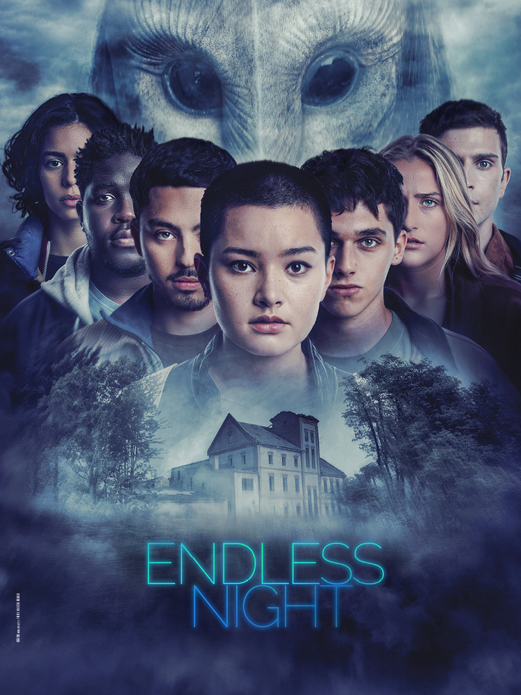 Poster of Endless Night