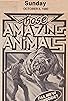 Primary photo for Those Amazing Animals
